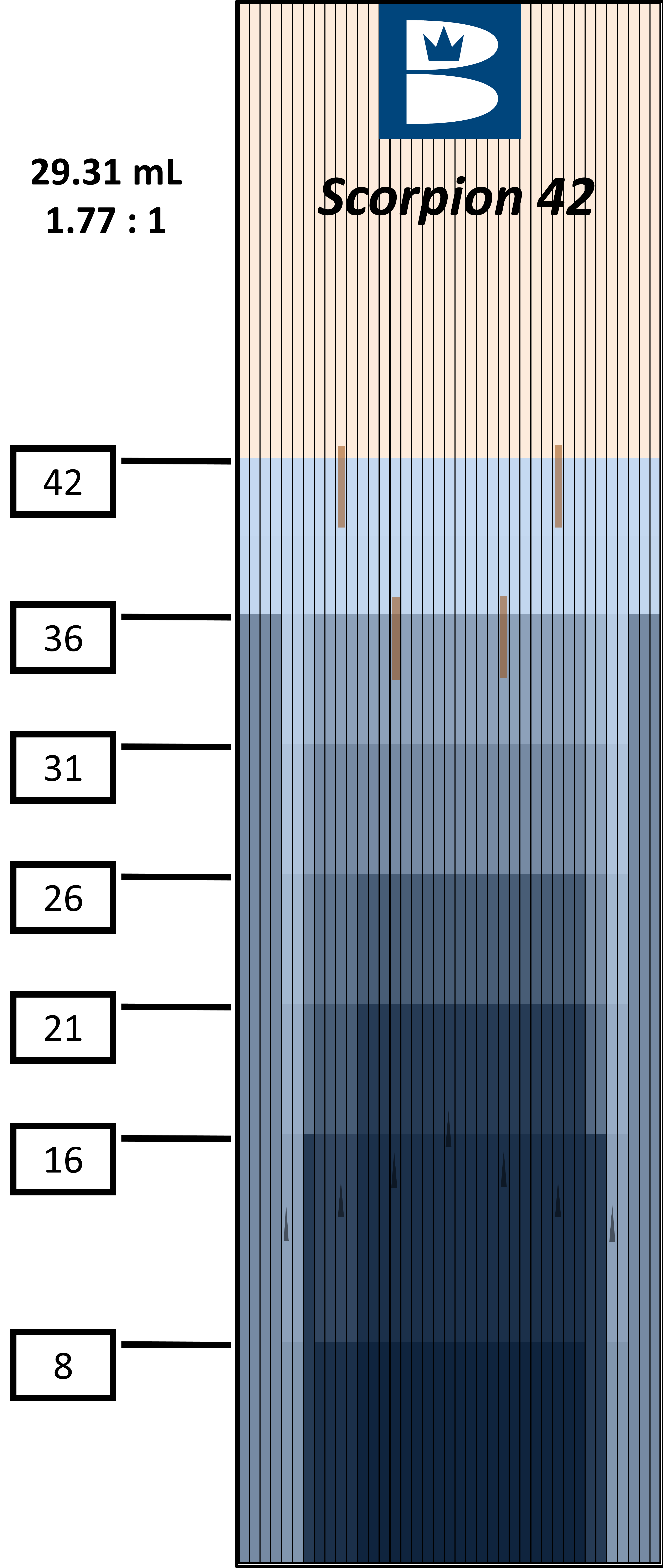 Oil Patterns | PBA